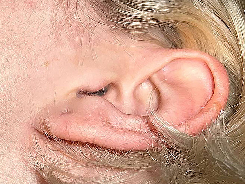 image used for facial recognition