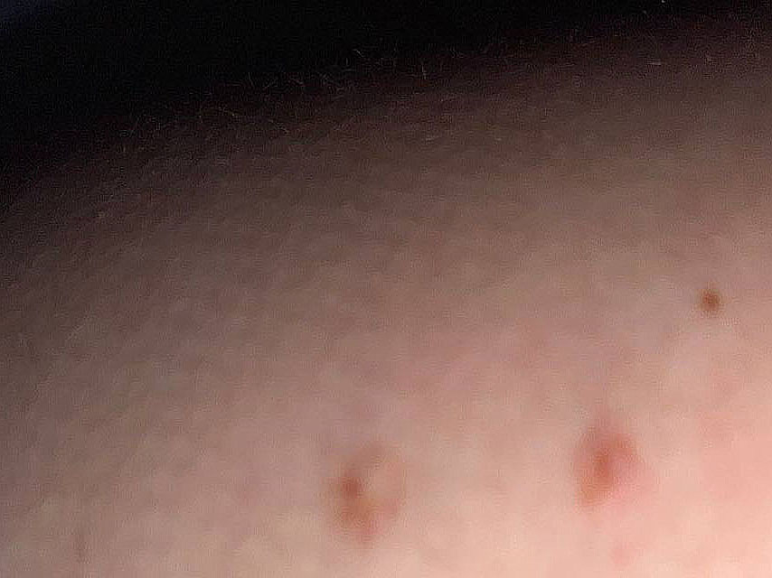 image used for facial recognition